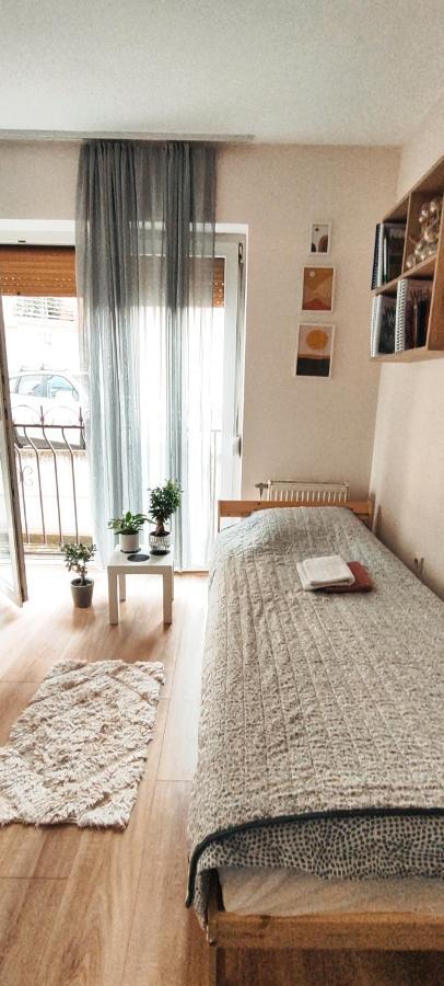 Hummingbird'S Nook Apartment Novi Sad Ngoại thất bức ảnh